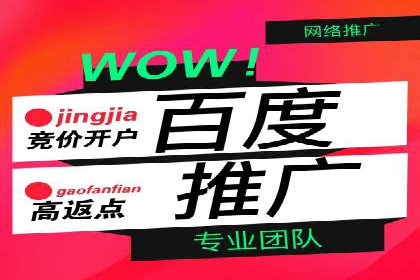 百度推广代运营案例：案例解析：如何提升广告投放效果